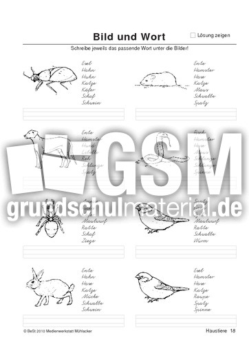 BuW Haustiere18.pdf